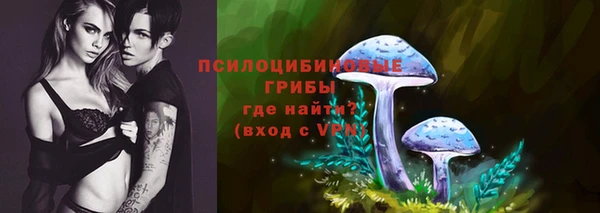 соль ск Абдулино