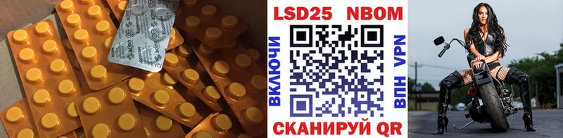 наркошоп Холмск МЕГА как зайти ЛСД экстази кислота
