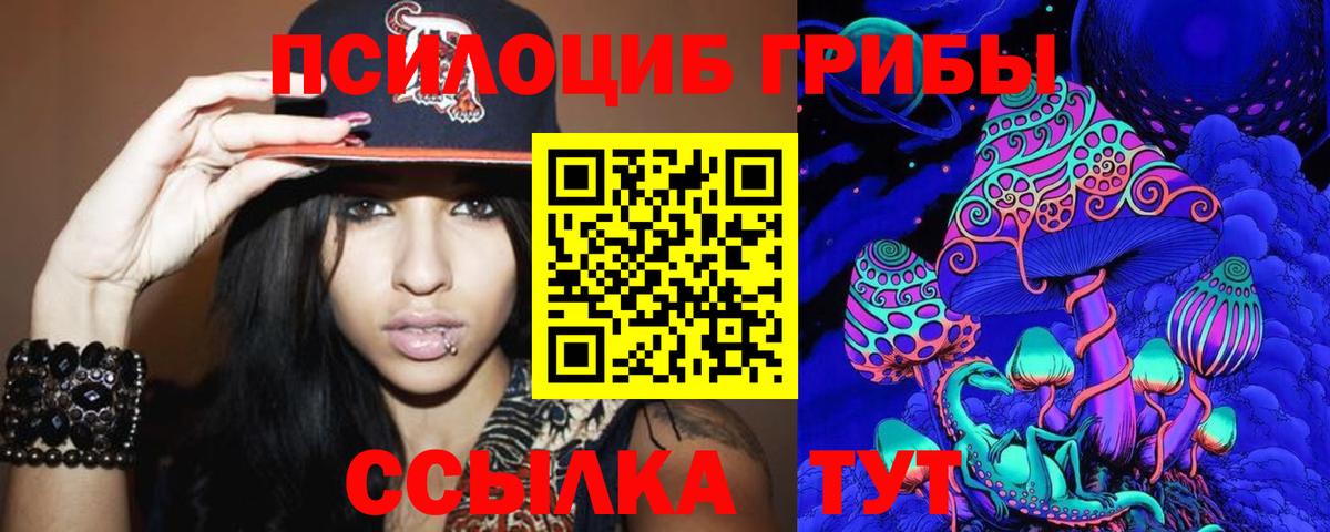 Псилоцибиновые грибы Psilocybine cubensis Холмск